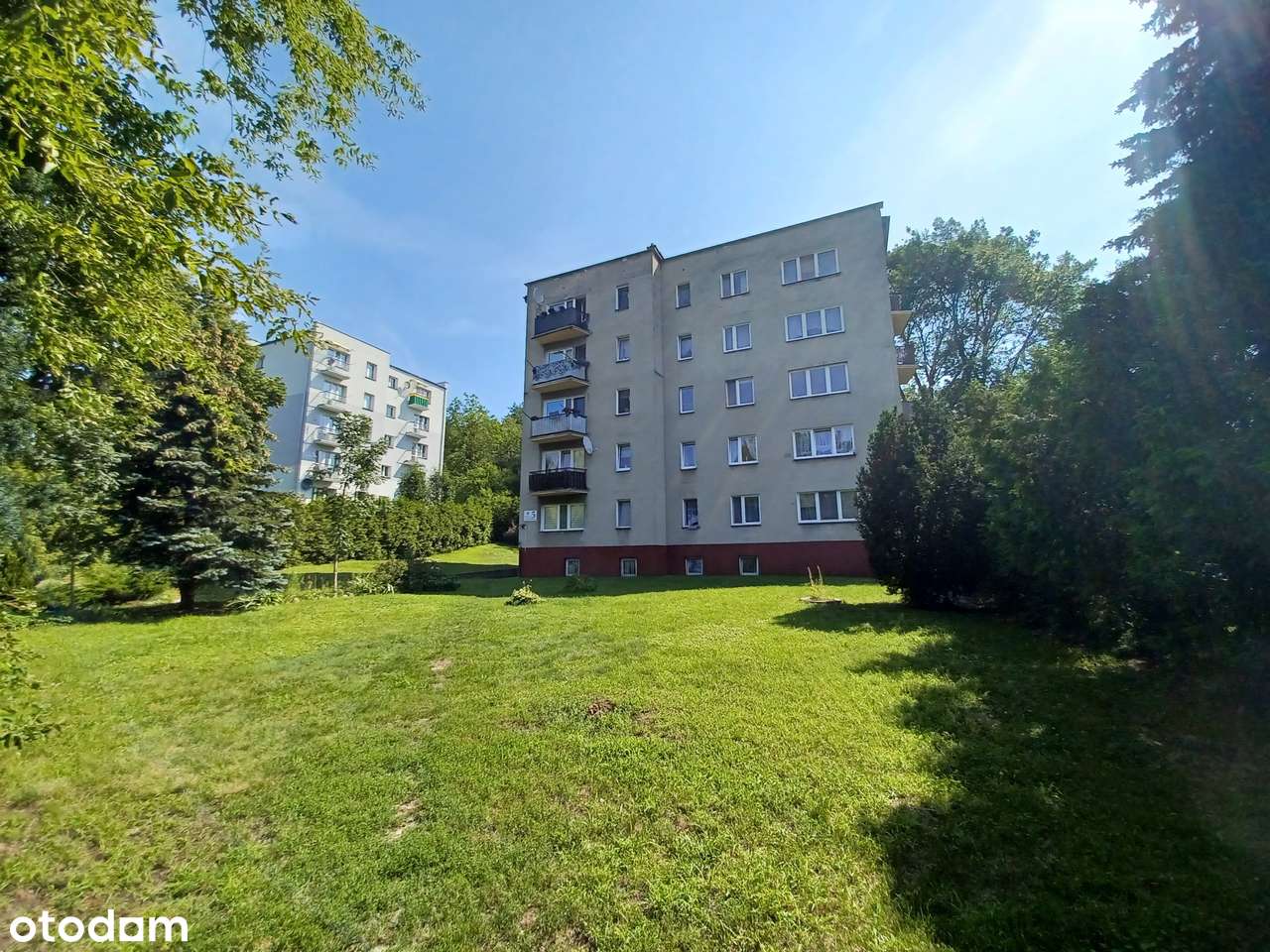 Trzy pokoje w Nowym Mieście Lubawskim w "zielonej" części miasta! - Pełny obrazek: 4/14