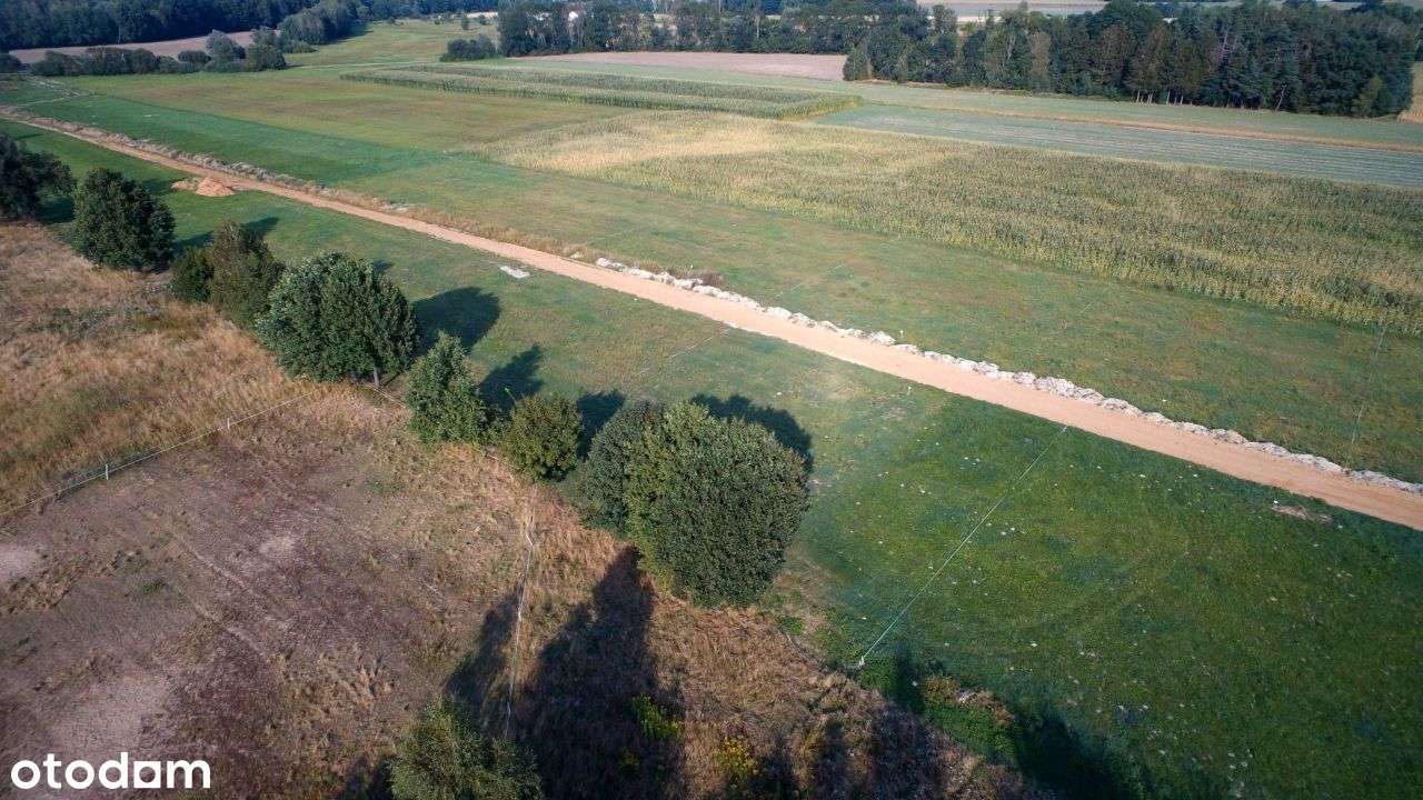 Osada "Słoneczna" w Brodowie-10