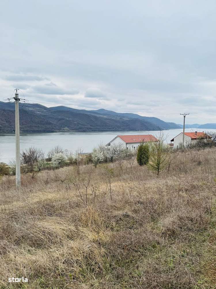 AV644 Teren intravilan, BERZASCA-DUNARE, 6042mp - Imagine principală: 3/9