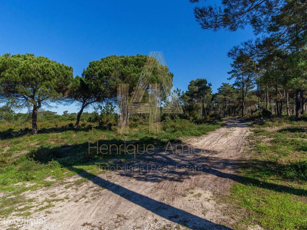 Terreno rural em Aldeia do Meco - Grande imagem: 3/7