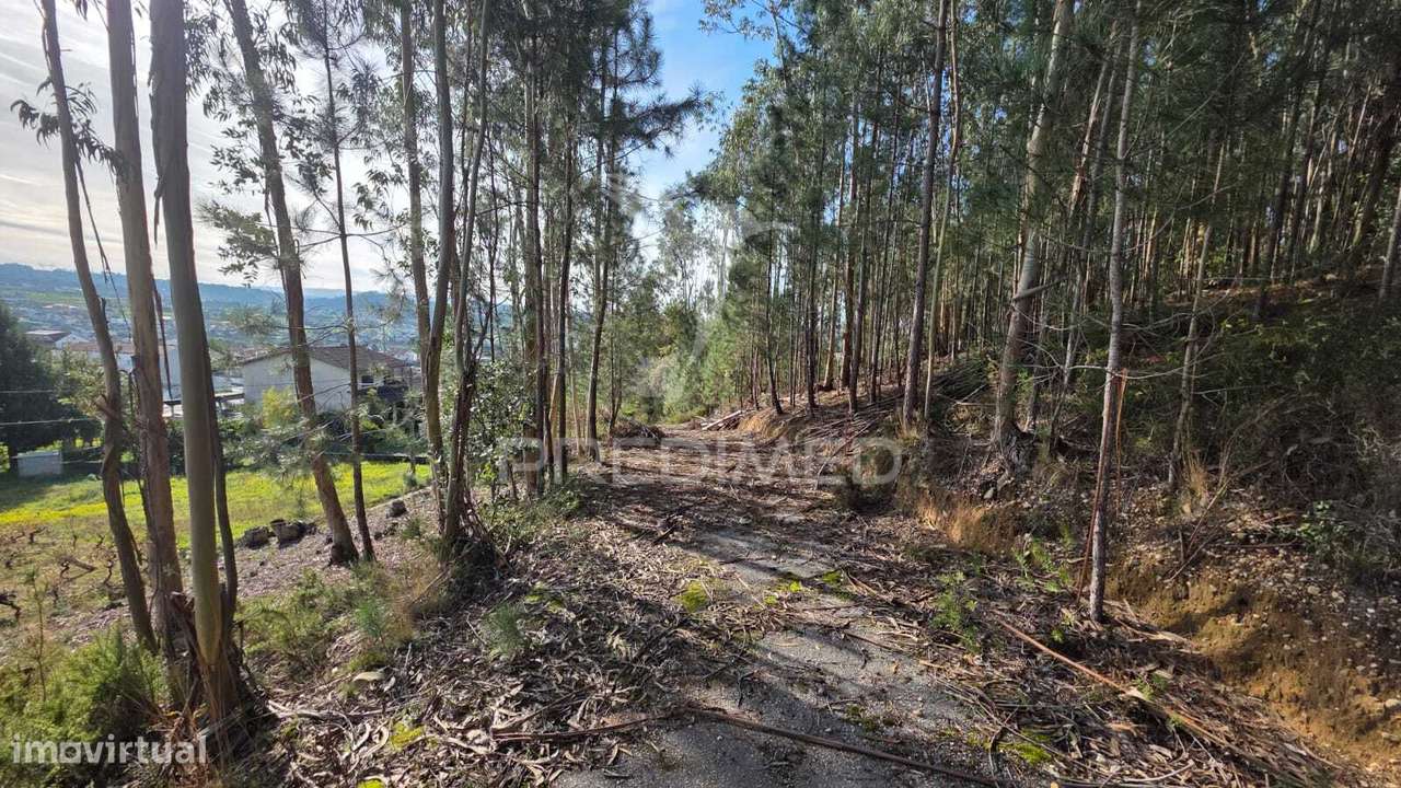 Oportunidade - Terreno Urbano com 842 m² – Santa Eufémia, Leiria - Grande imagem: 4/22