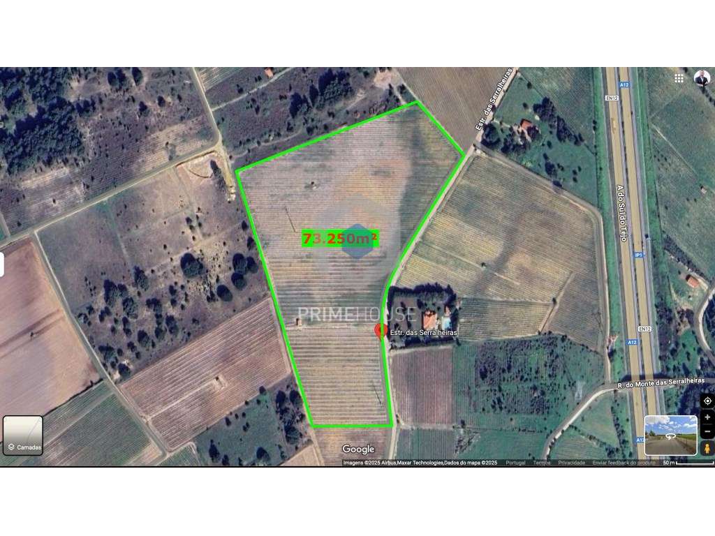 Terreno com vinha de alta qualidade em Palmela - Grande imagem: 2/7