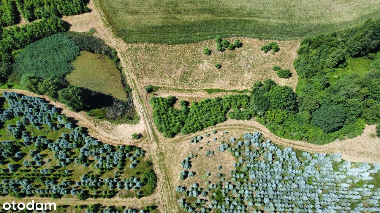 Działka, 61 800 m², Gryfów Śląski-7