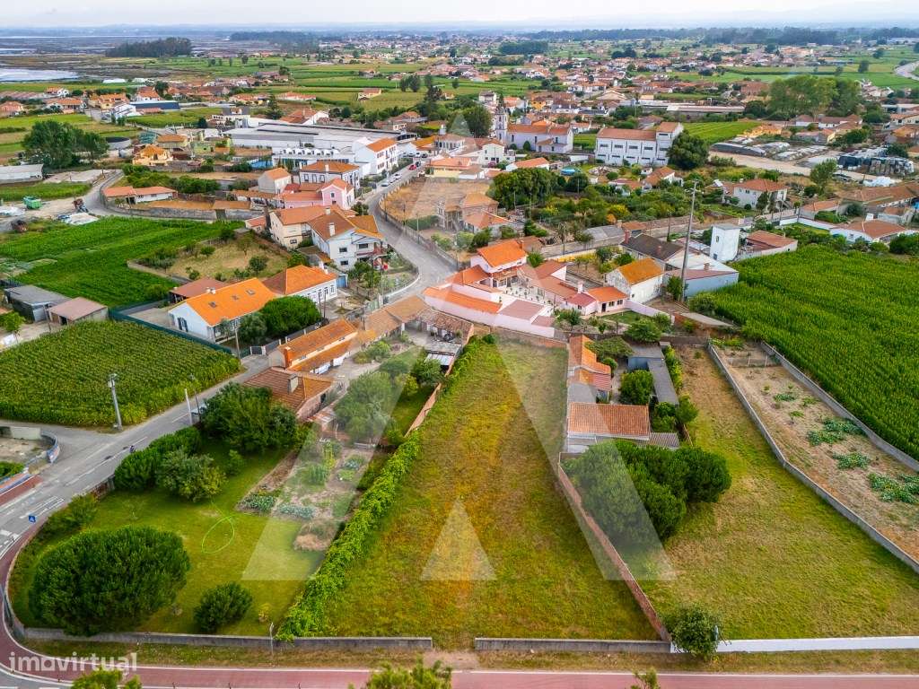 Terreno construção moradia - Murtosa - Ria de Aveiro-8