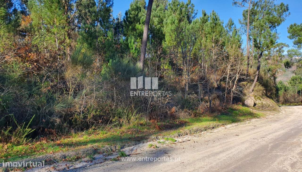 Venda Terreno, Várzea de Ovelha e Aliviada, Marco de Canaveses - Grande imagem: 5/30