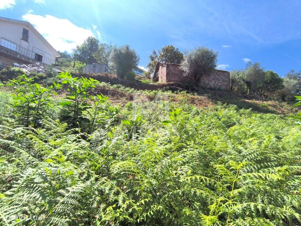 Terreno para construção à venda em Deocriste - Viana do Castelo - Grande imagem: 4/12