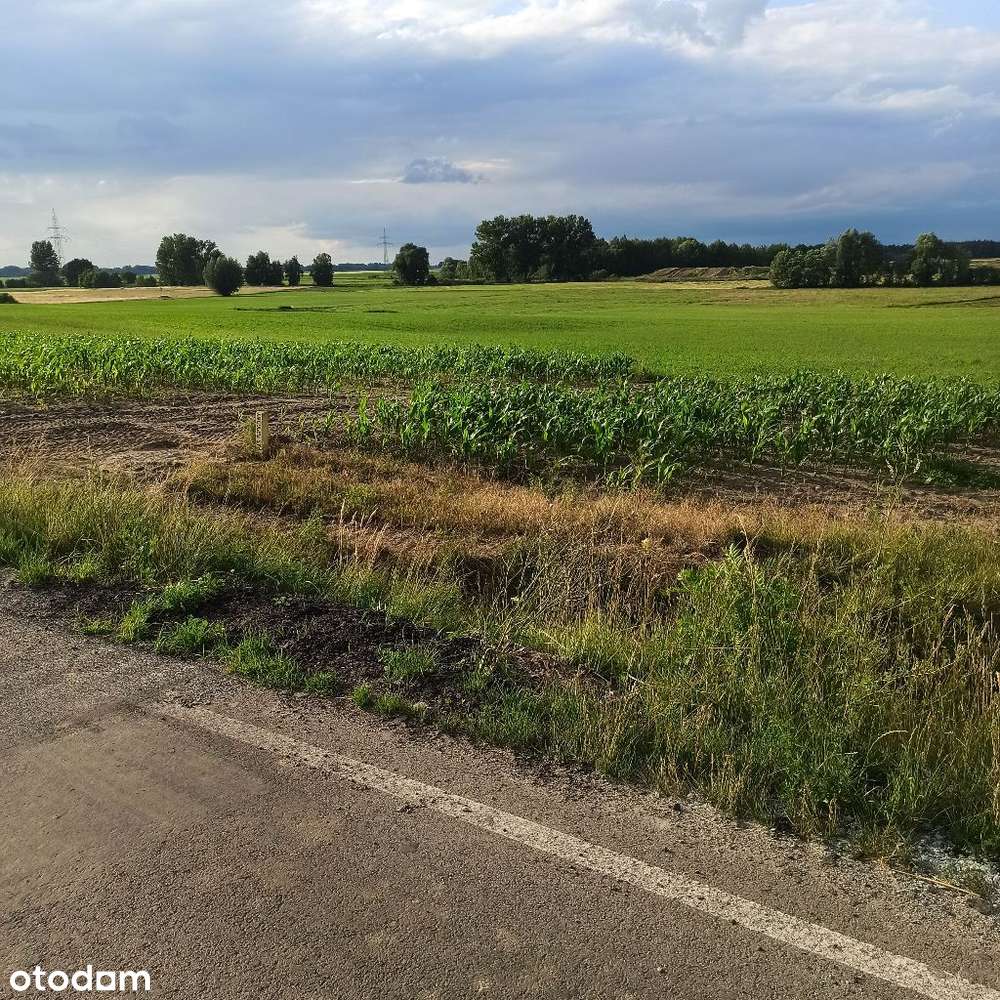 Działki usługowe Sierakowo 4000m2 - 8000m2-8