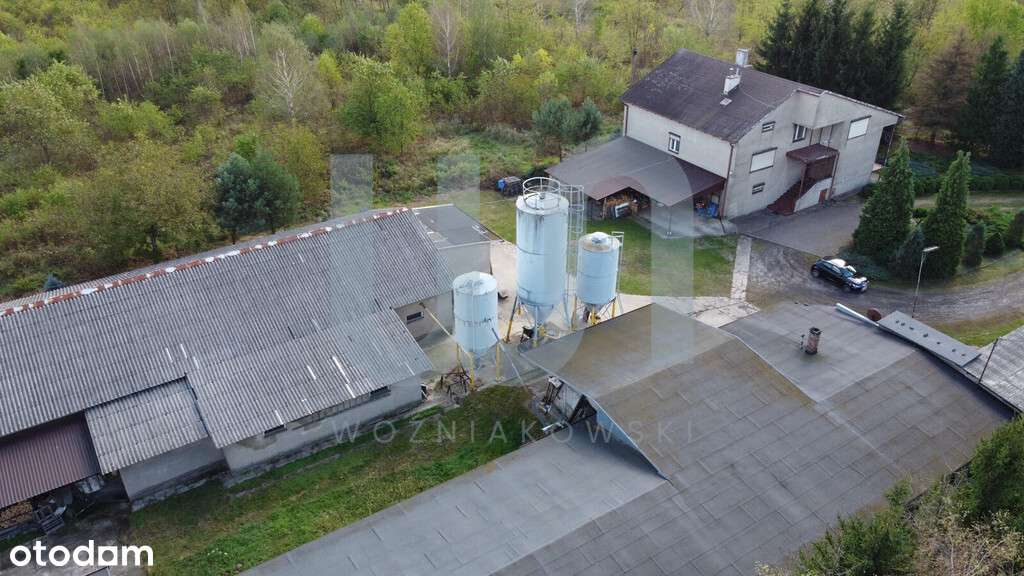 Dom/ Hale / Produkcja/ Magazyny/ Usługi-12