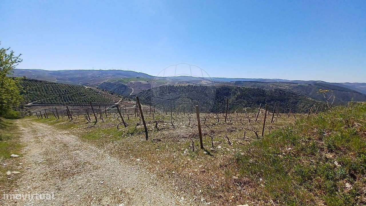 Terreno  para venda - Grande imagem: 3/8