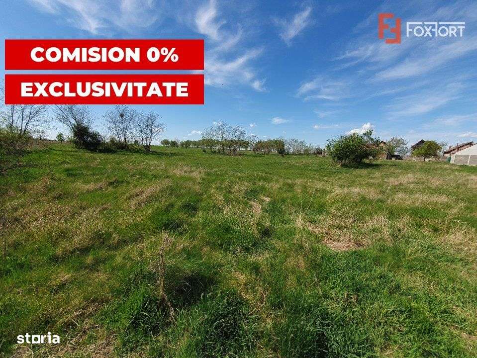 Comision 0% Teren intravilan 3000 mp in Padureni Jebel - Imagine principală: 5/8