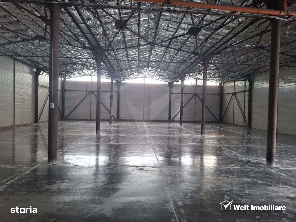 Spatiu depozitare sau productie 570 mp, renovat, zona Lidl Baciu - Imagine principală: 2/6
