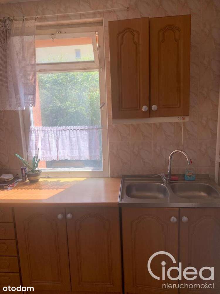 Parter 4 pok. osobna kuchnia, okna na 3 strony - Pełny obrazek: 4/10