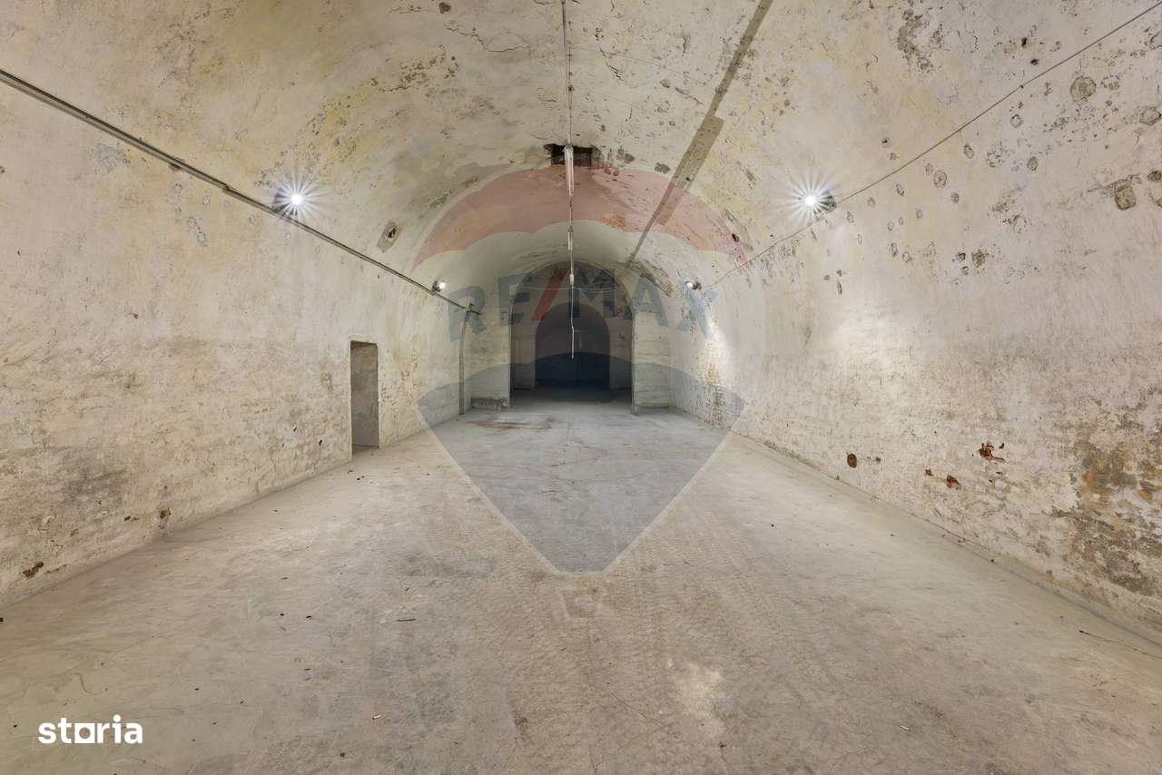 Spațiu comercial de închiriat 550 mp tip pivniță - zona Aradul Nou