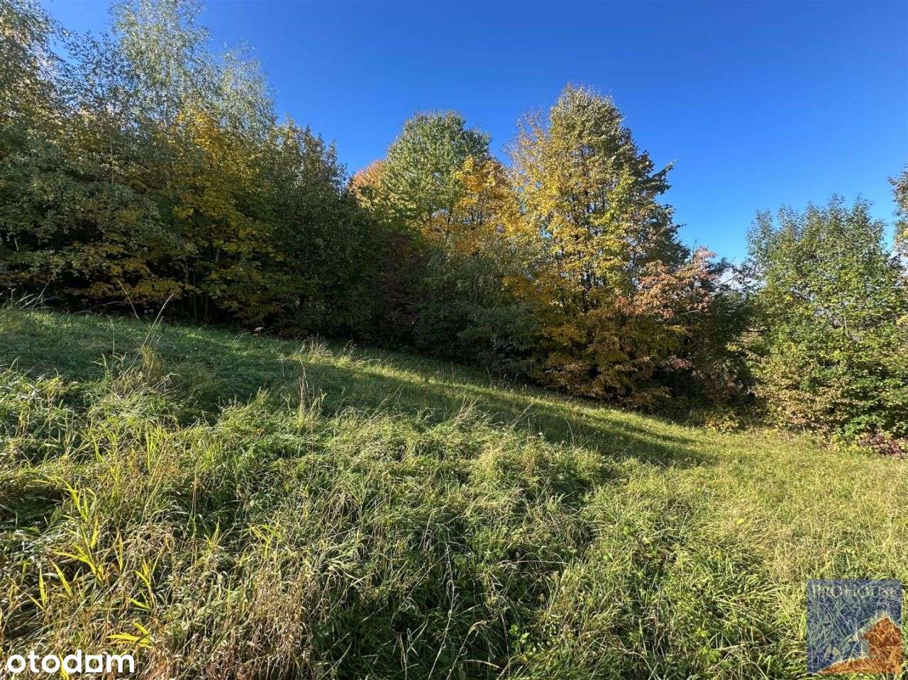 Działka, 1 244 m², Laskowa-7