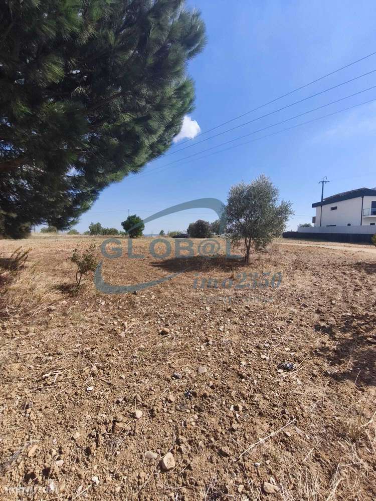 Lote terreno para construção Meia Via- Torres Novas - Grande imagem: 3/12