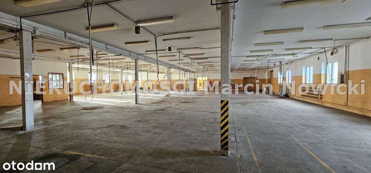 Hala/Magazyn, 8 210 m², Wały A - Pełny obrazek: 4/20