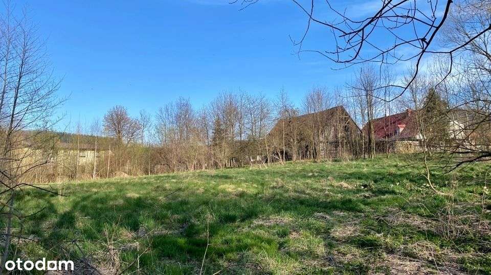 Widokowa działka z pozwoleniem na budowę Sosnówka - Pełny obrazek: 4/10