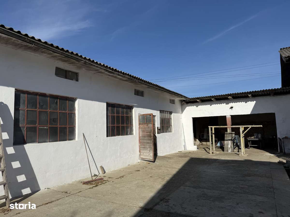 Hala 140 mp - Imagine principală: 3/6