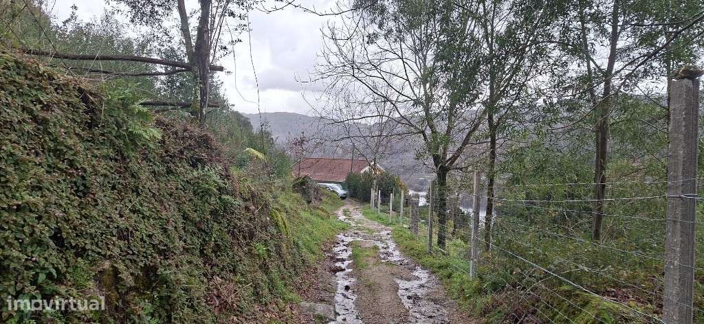 Terreno  Agrícola  Ecológico - Valdosende - Grande imagem: 3/27