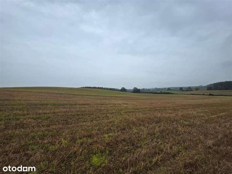 Działka - Tulice - Pełny obrazek: 5/9