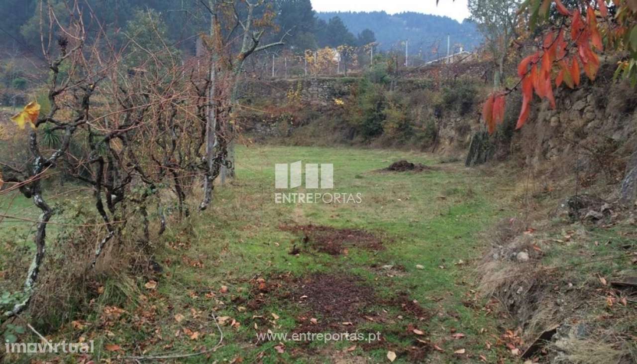 Venda Terreno, Cinfães - Grande imagem: 5/24