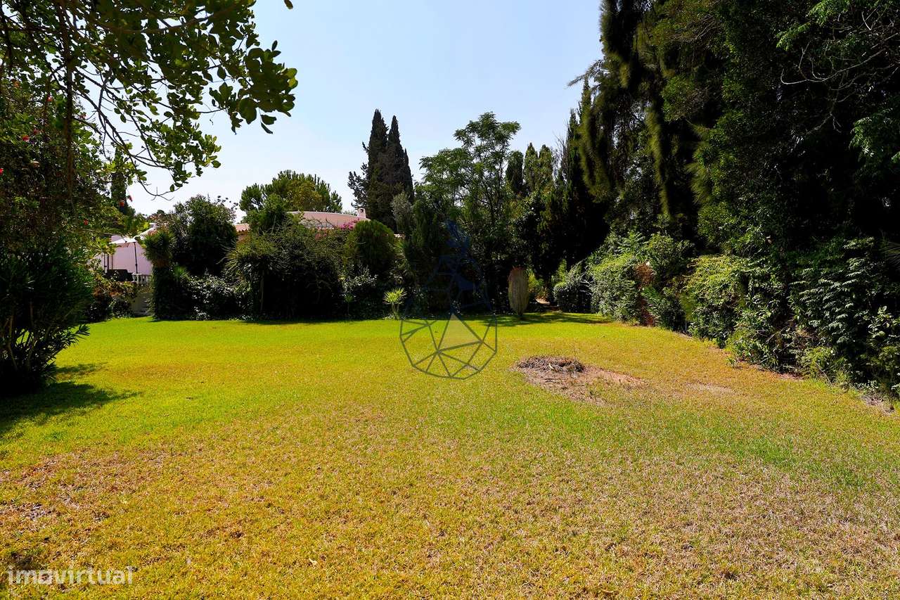 Moradia T3 com Piscina e Jardim + Anexo Urbanização Serra e Mar - Port-53