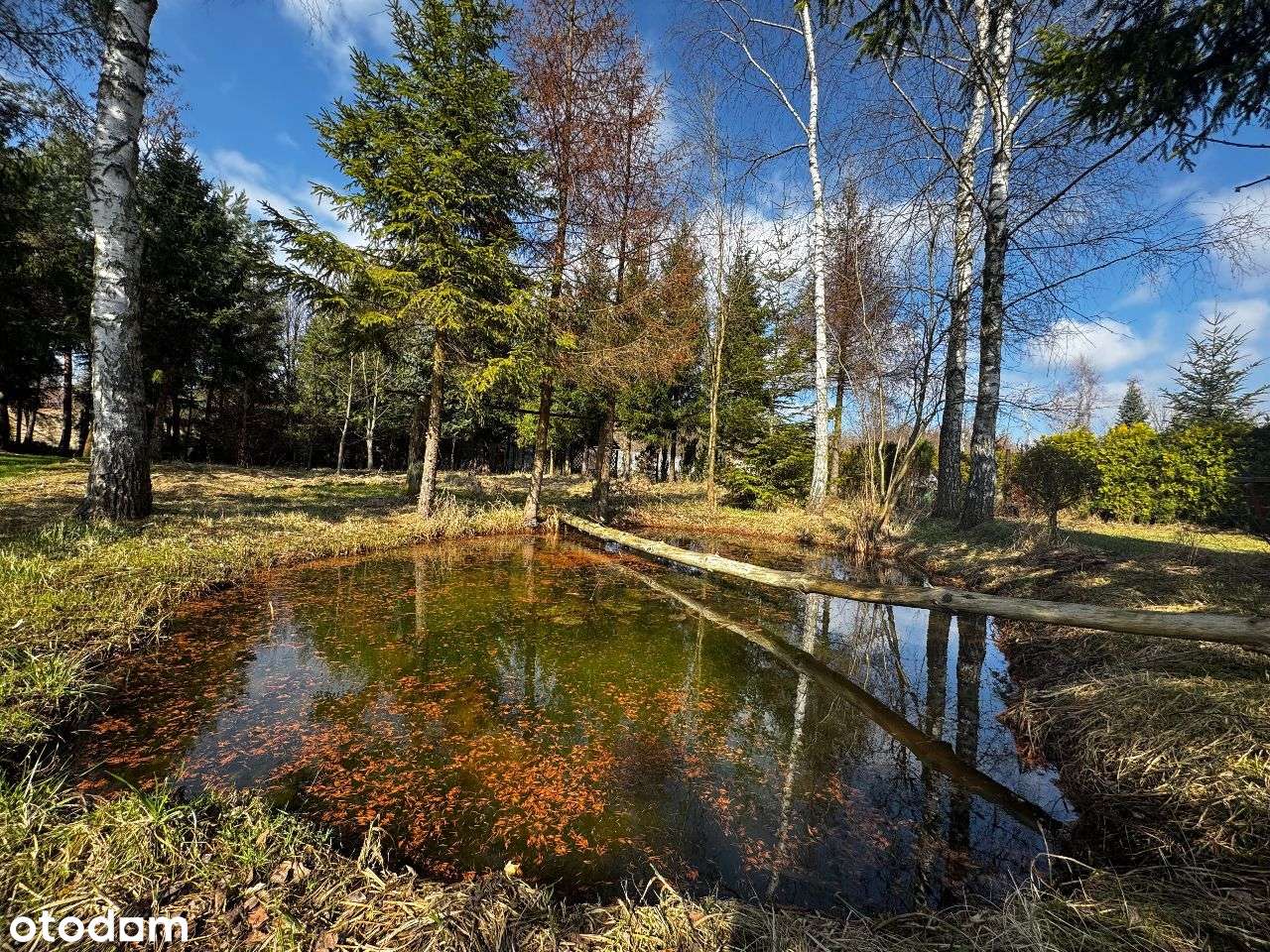 Dom z duszą w Chrzanowie– Twoje miejsce na ziemi - Pełny obrazek: 4/20