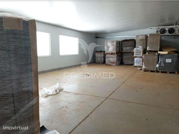 Armazém com Logradouro em Valongo do Vouga, Águeda - Grande imagem: 4/5