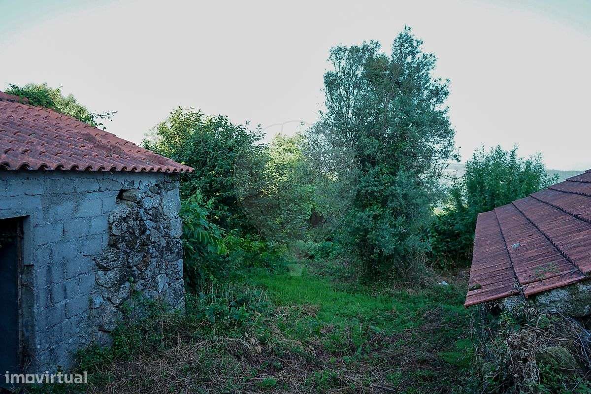 Duas Moradias para restauro em Ribeira do Neiva, Vila Verde! - Grande imagem: 5/15