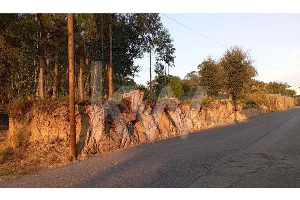 Terreno de construção em ponto alto com 2110m2 e 49 metros de frente d - Grande imagem: 3/13