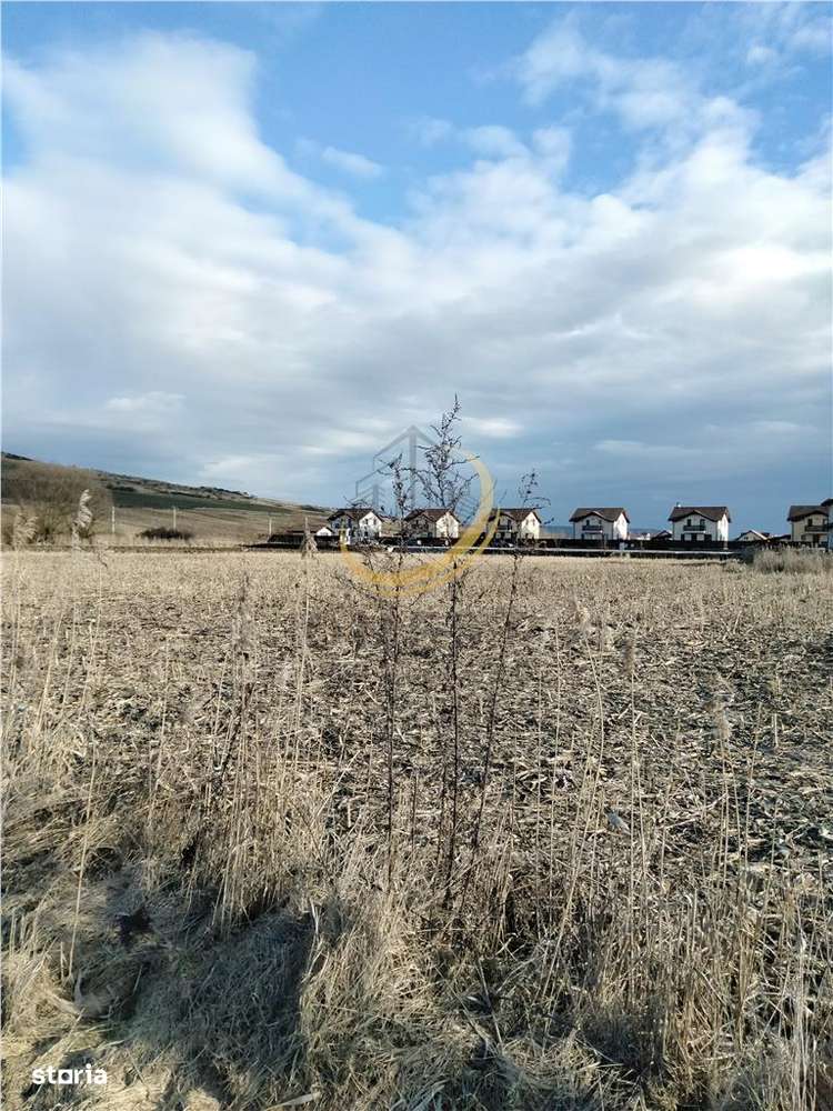 TEREN 1050 MP STR VOINICENILOR-6