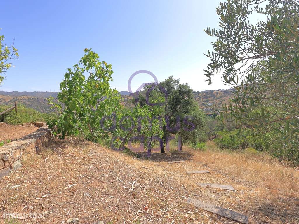 Moradia T3 com Piscina e Terreno em Porto Carvalhoso - Tavira-40