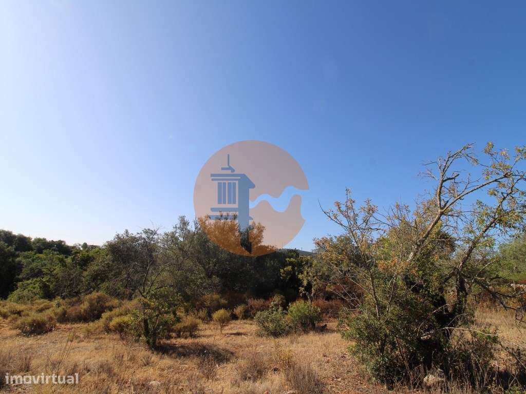 Terreno Rústico com 6840 m2 - Grande imagem: 2/21