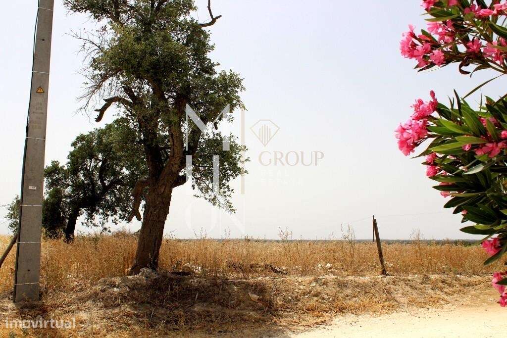 Terreno – Venda Lote de Terreno Urbano com 1278m2 - construção 319m2 e - Grande imagem: 4/13