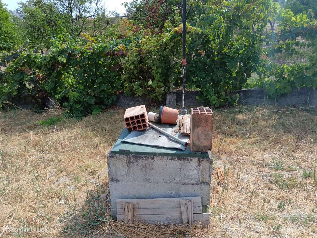 Quinta - Grande imagem: 5/12