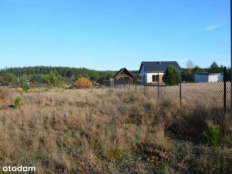 Działka na sosnowym osiedlu, 900 m od jez. Białe - Pełny obrazek: 5/15