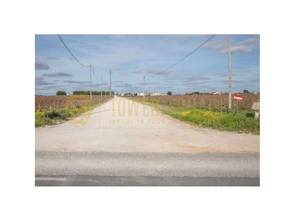 Terreno Rústico com PIP - 6.000 m² - Lau, Palmela - Grande imagem: 2/5