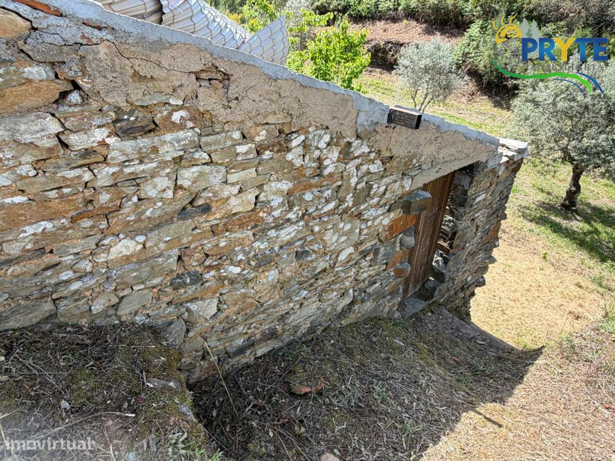 Terreno com uma ruína não registada a 6 quilómetros da Sertã-33