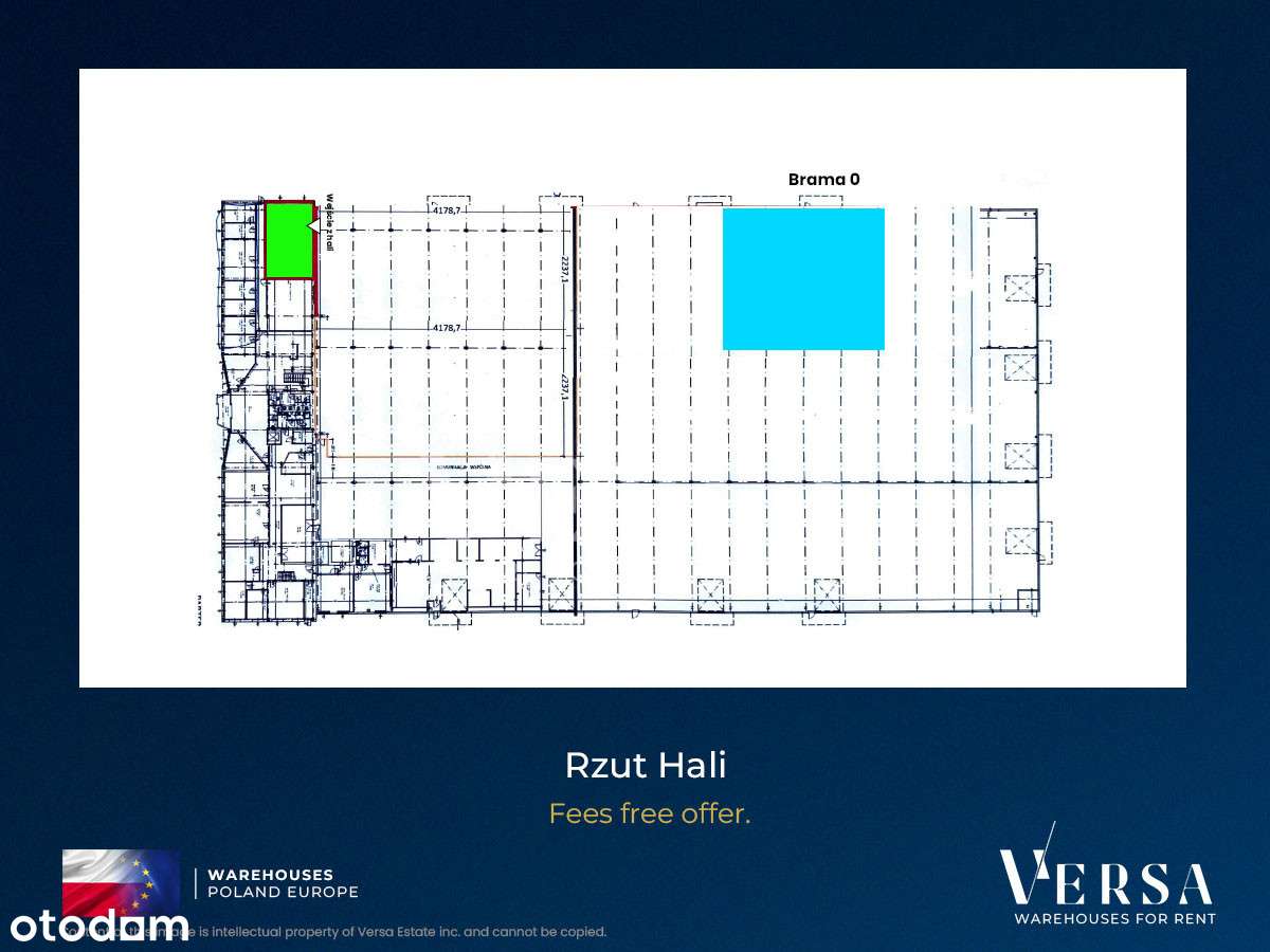 Piaseczno S7 - 560 mkw - prowizja 0% - Pełny obrazek: 4/18