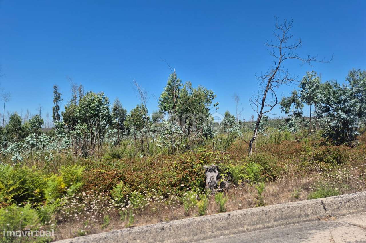 Terreno Rústico na Caranguejeira - Grande imagem: 5/22