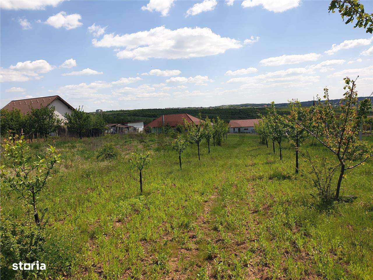 Teren intravilan in Saldabagiu de Munte - Imagine principală: 4/8