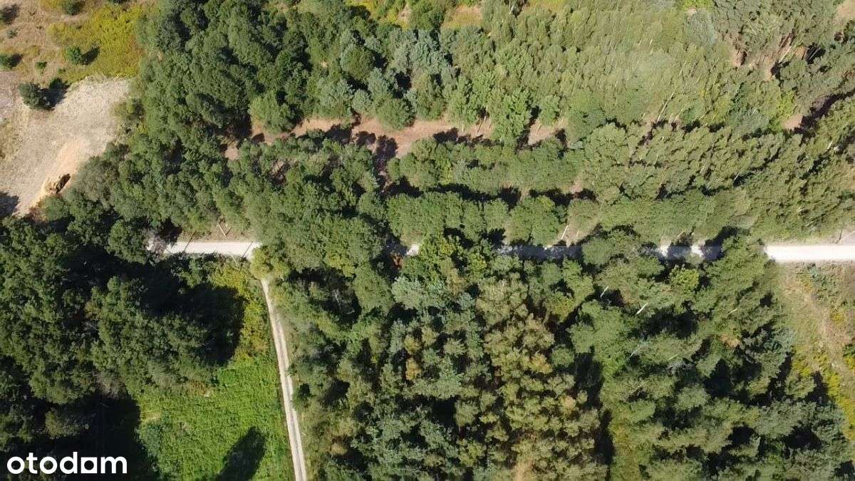 Działki budowlane w otoczeniu drzew-10