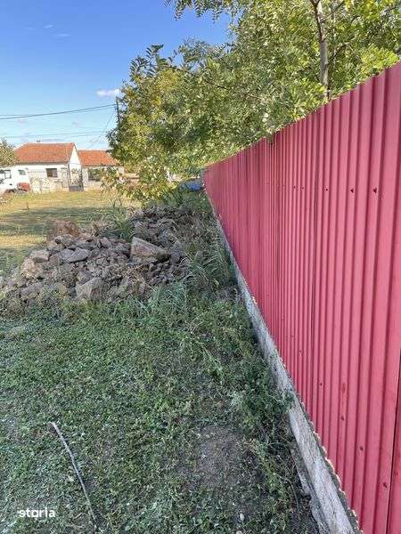 Teren intravilan 1363 mp Mandruloc - Imagine principală: 4/6