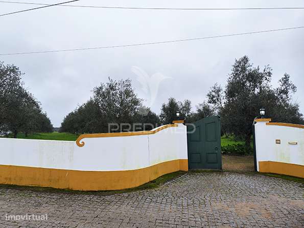 Quinta em Avis - Grande imagem: 4/30