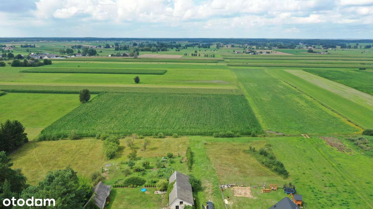 Cudowna działka na peryferiach Kadzidła - Pełny obrazek: 5/10