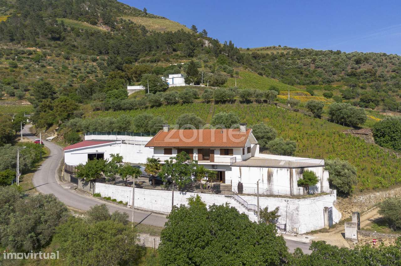 Casa da Amendoeira, Covelinhas - Grande imagem: 4/60