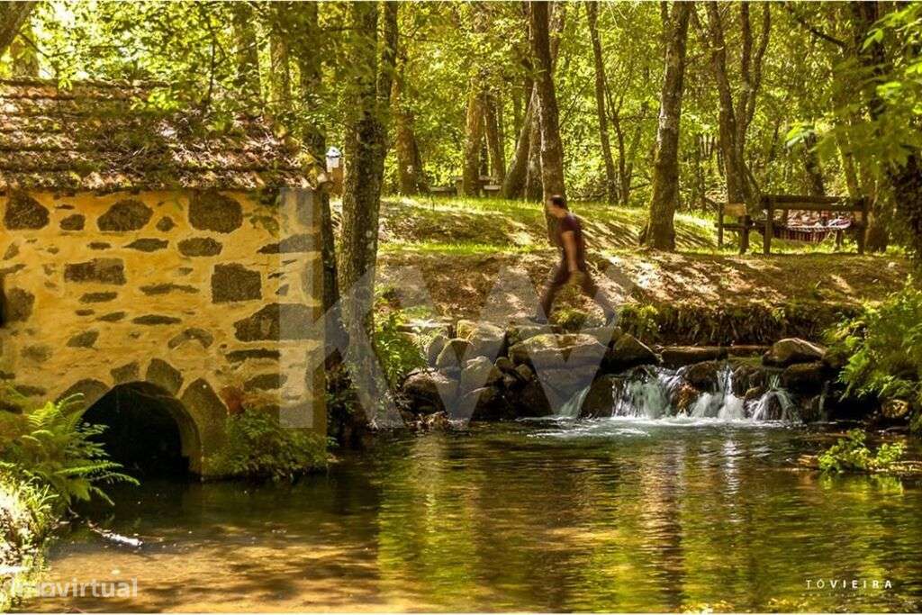 Excelente Lote de Terreno para Construção Moradia Independente - Calda - Grande imagem: 5/7