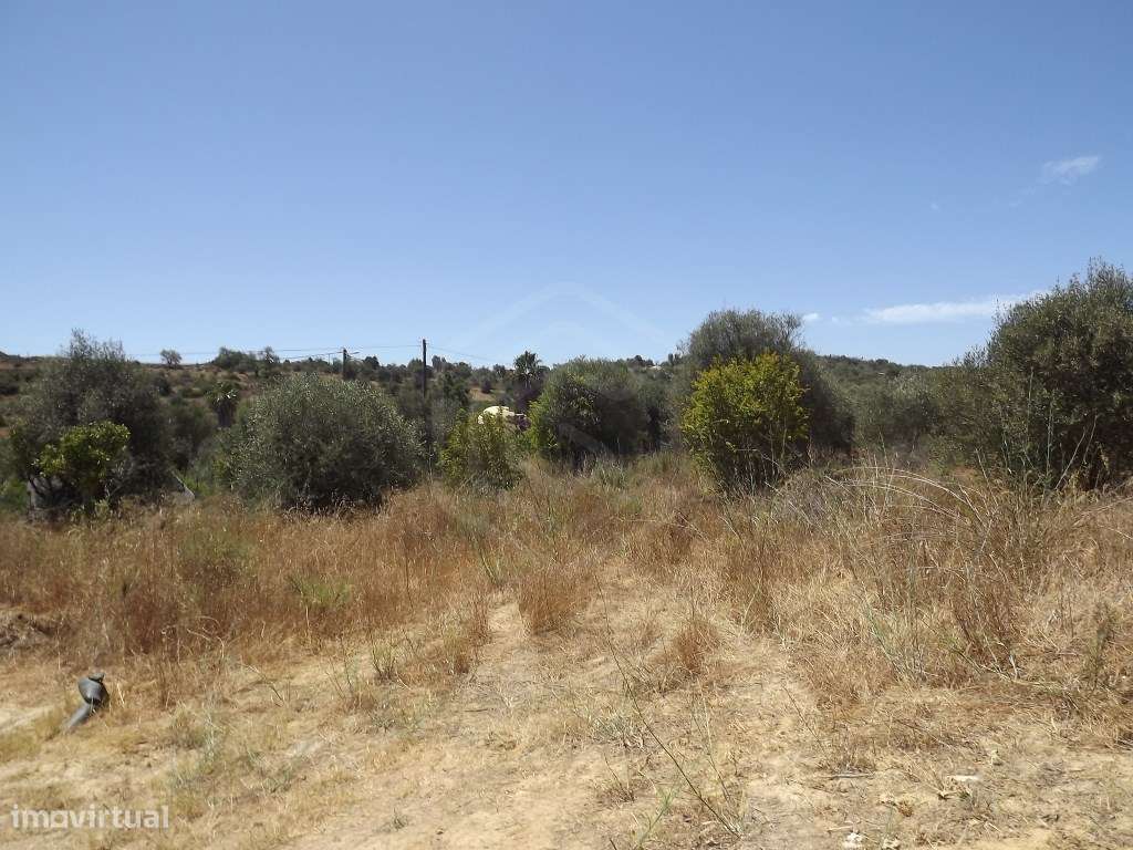 Terreno rústico com uma área de 7.600, Fontes da Matosa, Algarve - Grande imagem: 5/13