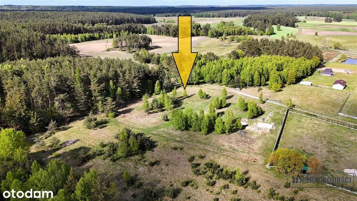 Duża działka w otoczeniu lasu. Drężno. - Pełny obrazek: 5/17