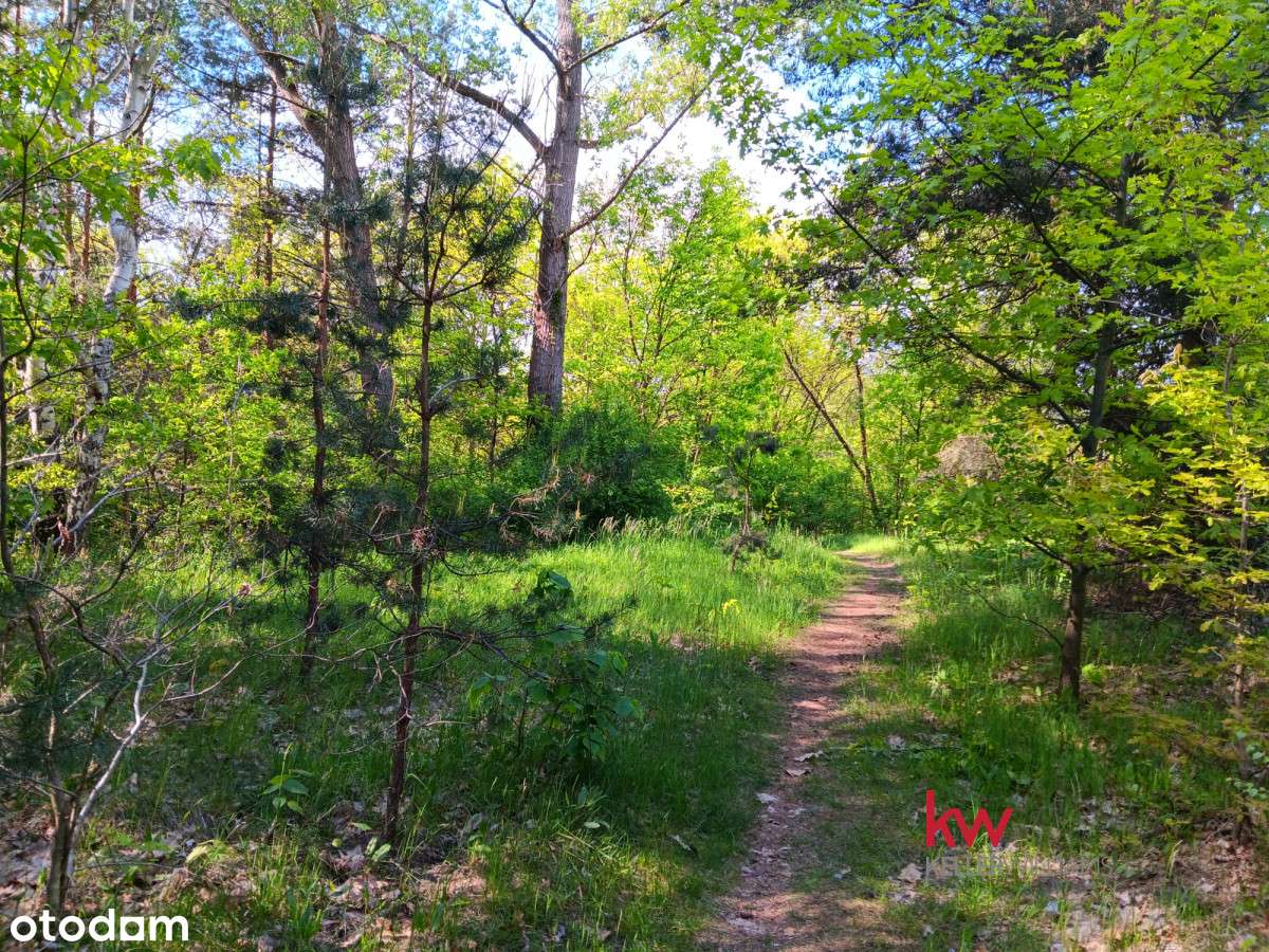 Piękna działka w okazyjnej cenie - Pełny obrazek: 4/5